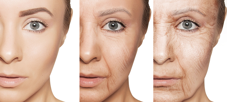 Skin Aging